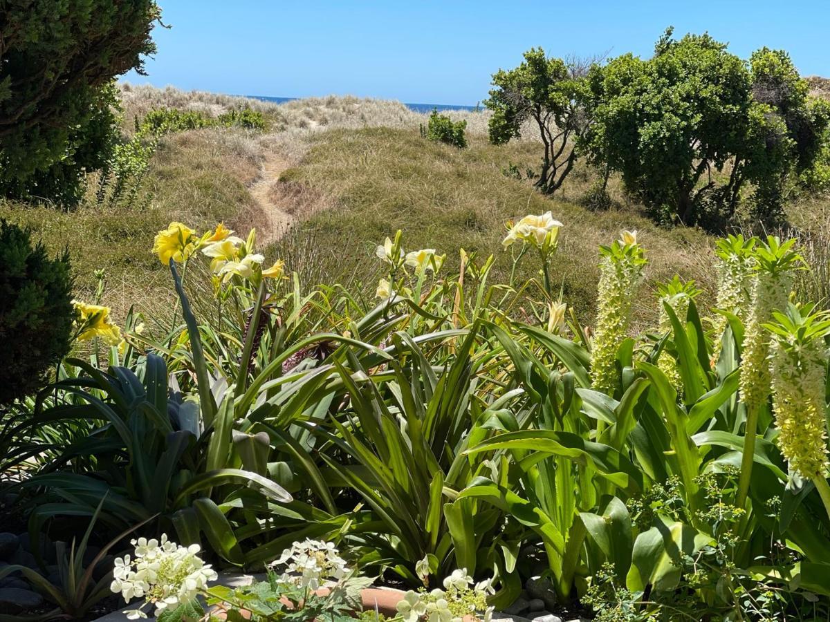 Absolute Beach Mount Maunganui Exterior foto